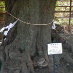 さいたま市西区の秋葉神社に行ってきました DSCN3336