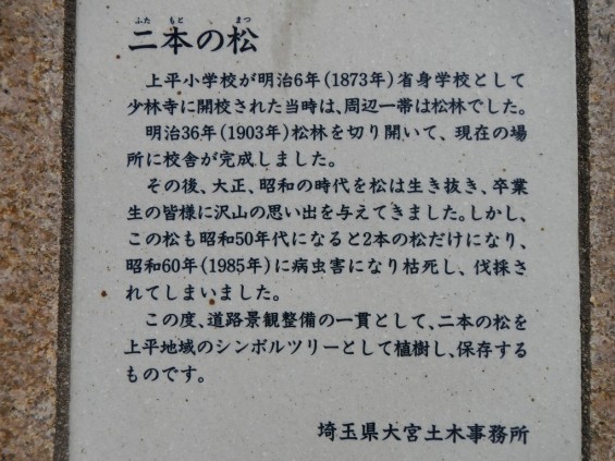 埼玉県上尾市　べにばな街道DSCN3882