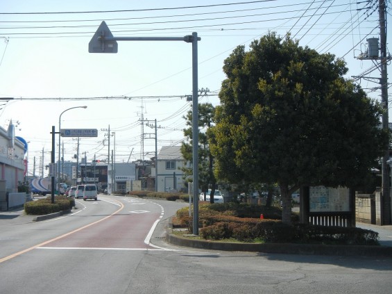 埼玉県上尾市　べにばな街道DSCN3902