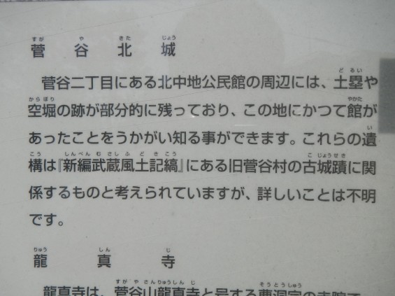 埼玉県上尾市　べにばな街道DSCN3894