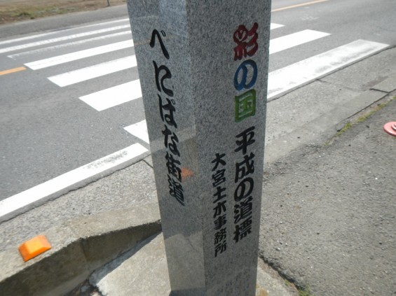 埼玉県上尾市　べにばな街道DSCN3900