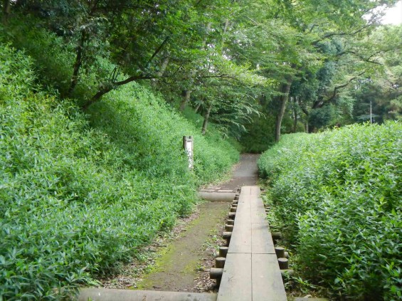 埼玉県さいたま市　岩槻城に行ってきました_DSCN5317