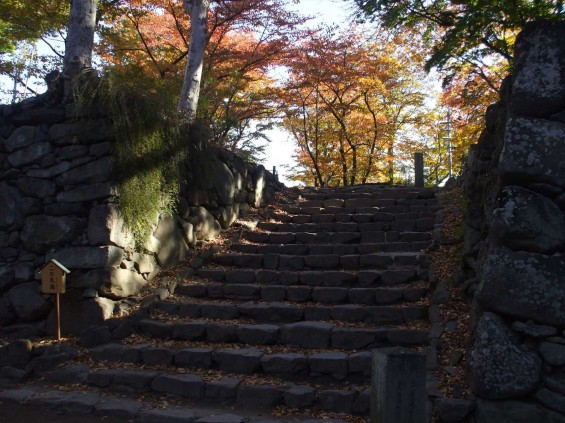 20141030 長野県懐古園（小諸城跡）の紅葉DSCF6033_