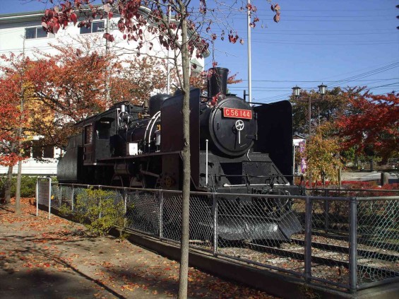 20141030 長野県懐古園（小諸城跡）の紅葉DSCF6064_