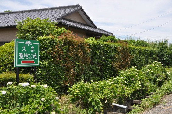 2015年6月 埼玉県久喜市六万部 香最寺の紫陽花DSC_1132